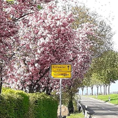 Gaestehaus Lifestyle Kirrweiler  エクステリア 写真